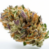 purple_punch