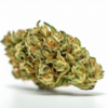 buddha_bubble_cheese