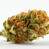 sour_kush