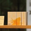 planty_reasons_stuttgart (4)