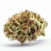 bruce_banner
