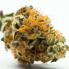 critical_mass