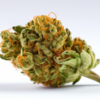 maui_wowie