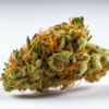 sour_apple