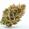 bubba_kush