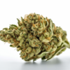 cannatonic