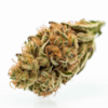 afghani