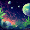 sensi_star_main