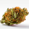 super_haze_x_amnesia
