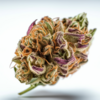 purple_haze