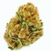 cheese_kush