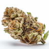galaxy_walker_og