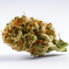 lemon_skunk