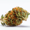 white_lemon_x_marakabei_local
