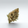 blue_cookies