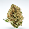 apple_fritter