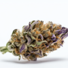 purple_kush