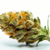 hindu_kush