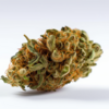 new_york_kush