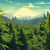 kush_kush_main