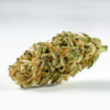 girl_scout_cookie