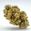 acapulco_gold