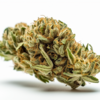 banana_kush