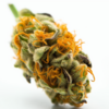 cookies_and_cream