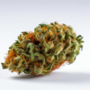 nevilles_haze