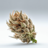 pineapple_express