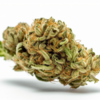 blue_dream