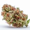 red_dragon_og