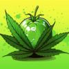 sour_apple_main