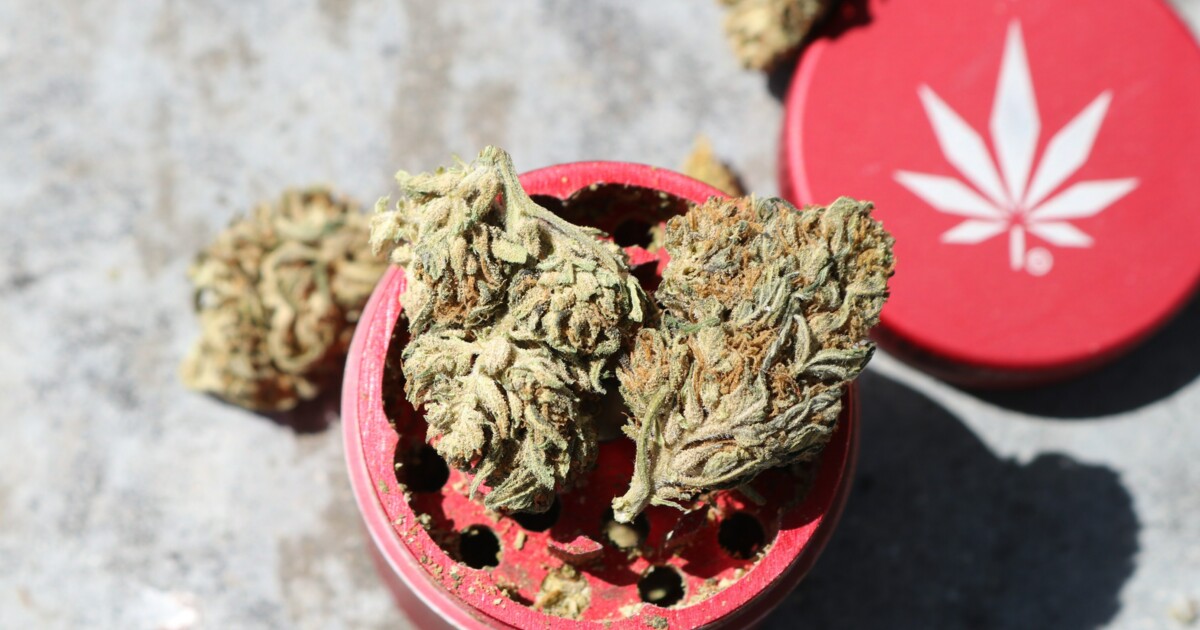 Was ist ein Grinder und welchen sollte ich nehmen? Cannabis Compass