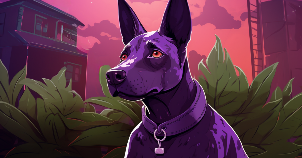 Cannabis Sorte Purple Dog Bud Cannabis Compass
