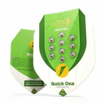 RoyalQueenSeeds-Quick-One-Cannabis-Samen