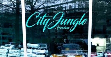 cityjungle_duesseldorf (1)