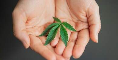 haende_die_ein_cannabisblatt_haltern_vor_grauem_hintergrund