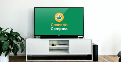 Szene eines TV-Tisches mit einem Fernseher auf welchem das Cannabis Compass Logo zu sehen ist 