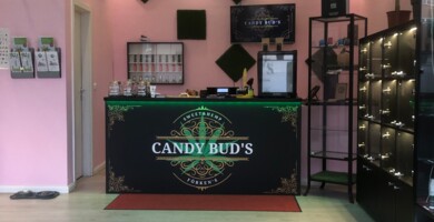 candybuds_hh2