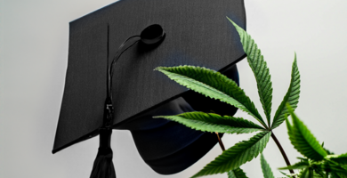 studierenden_hut_mit_cannabis_blatt_vor_weissem_hintergrund