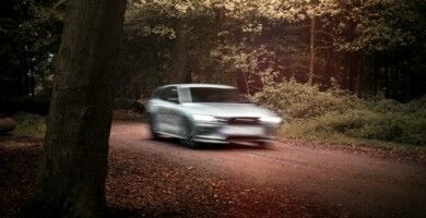 auto_im_wald_unscharf_hinter_baum