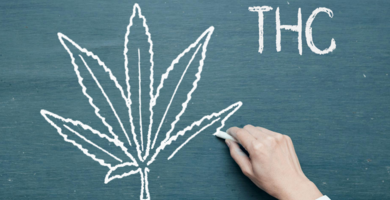 schultafel_mit_cannabisblatt_und_hand