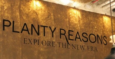 planty_reasons_stuttgart (1)