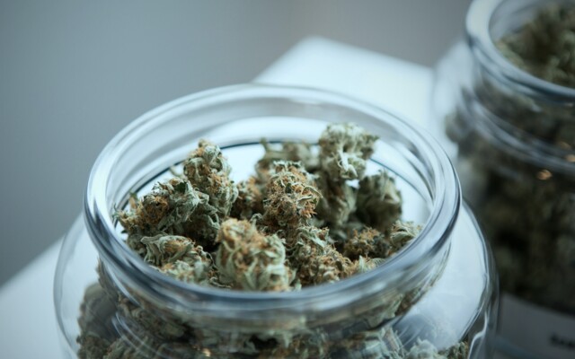 Nahaufnahme eines mit Cannabisblüten gefüllten Glas welches auf einem Tisch steht