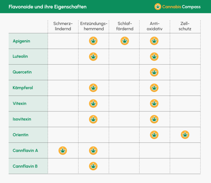 Flavonoide_und_medizinische_Eigenschaften