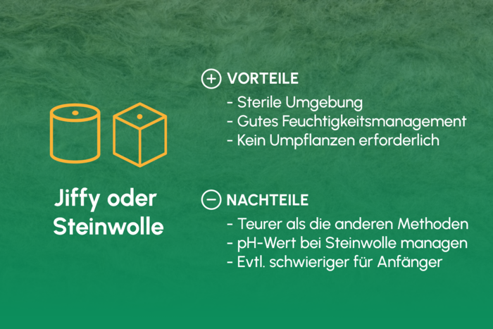Keimung_Jiffy_Steinwolle