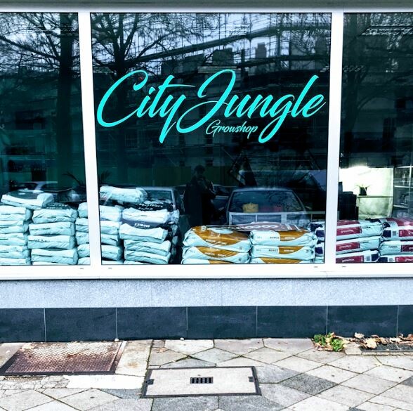 cityjungle_duesseldorf (1)