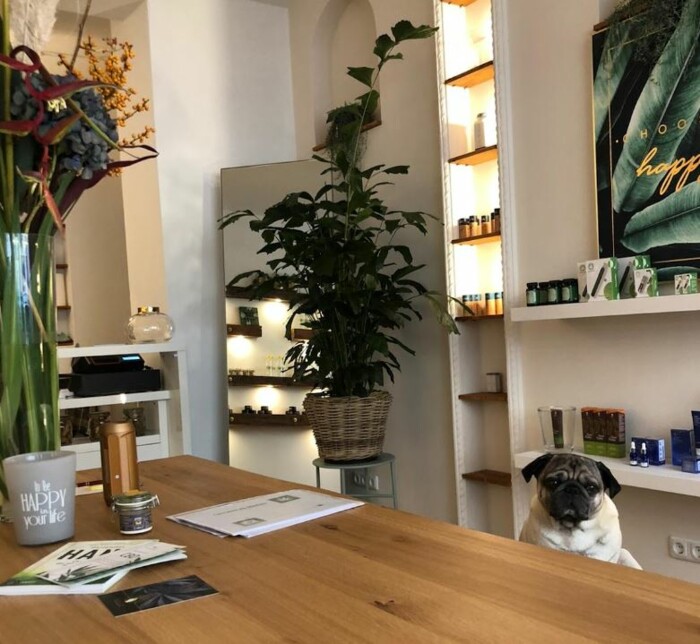 magic_leaf_store_muenchen (4)