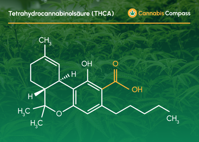 Strukturformel THCA